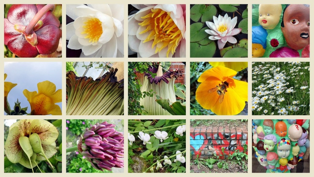 BotanischerGartenKiel