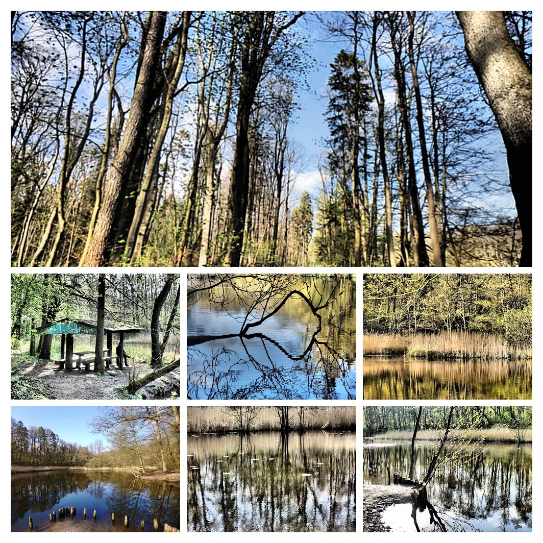 Maigruen