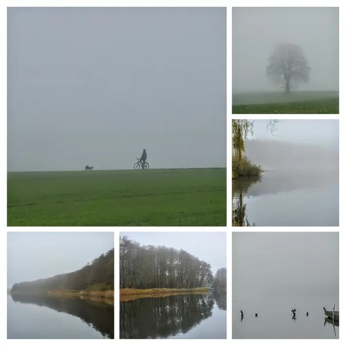 1_Nebel