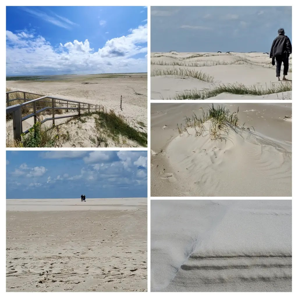Amrum