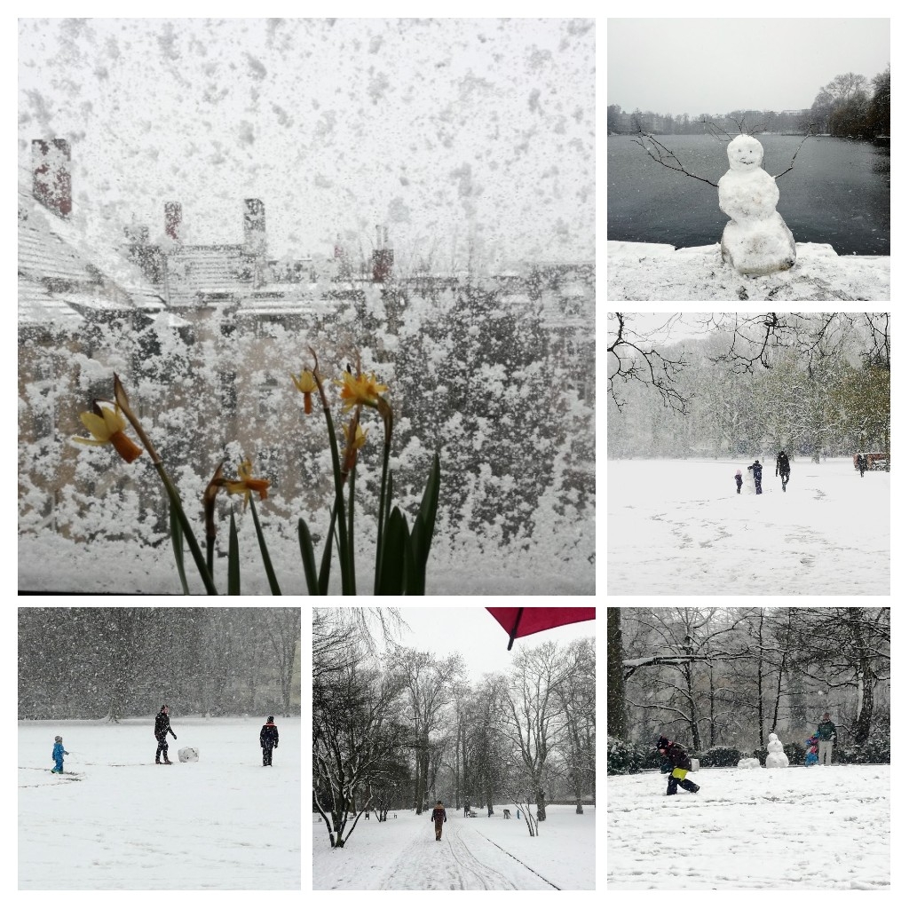 CollageWinter