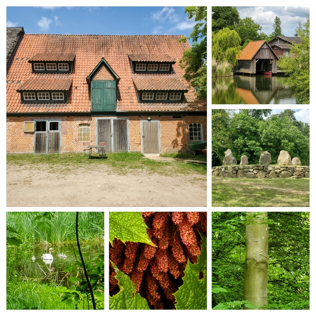 GutDeutsch-Nienhof