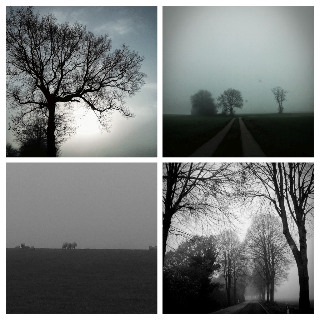Herbst2