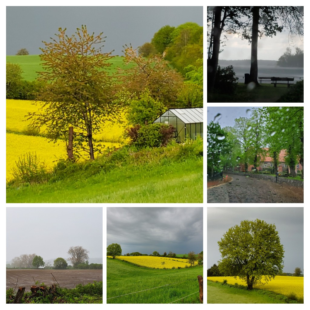 Regenwetter