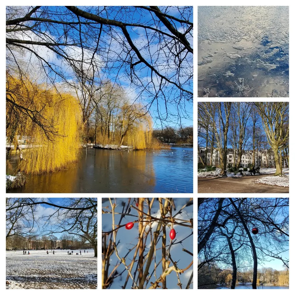 Schrevenpark