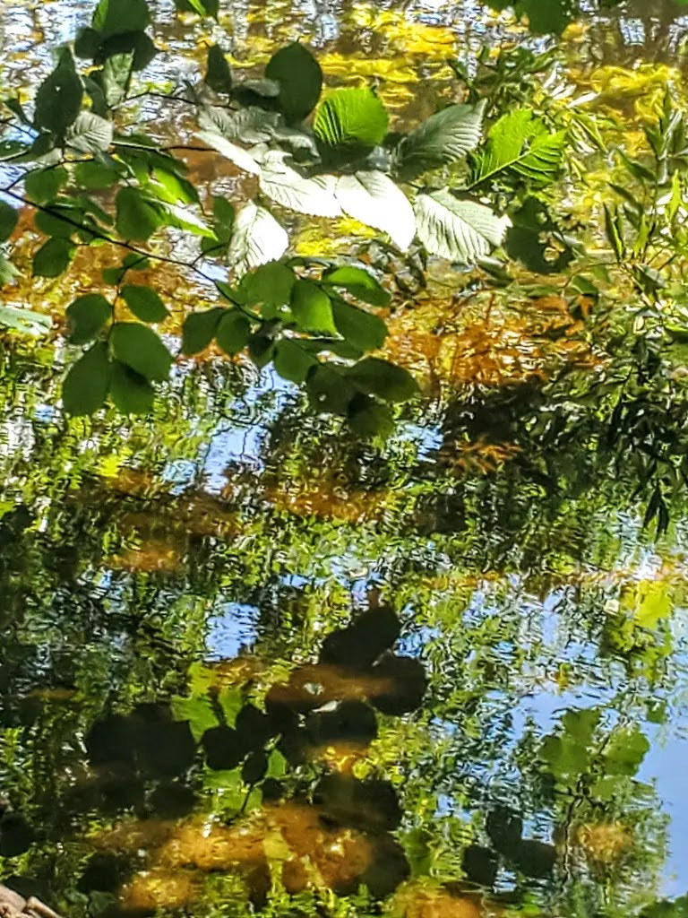 Spiegelung