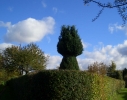 baum