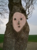 baumgesicht