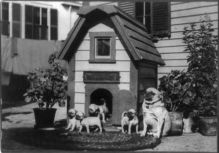 meinhaus