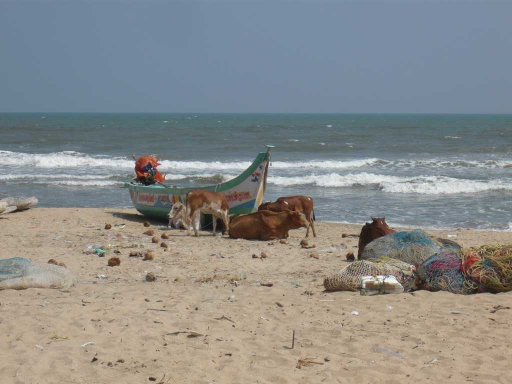 strandleben