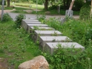 CIMG0097